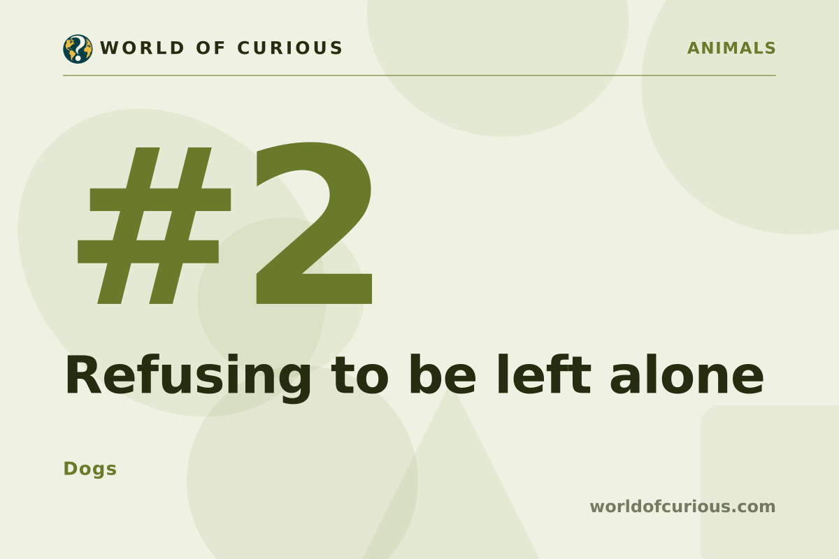 Card artwork for entry number 2: Refusing to be left alone.