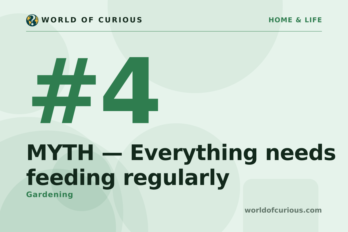 Card artwork for entry number 4: MYTH — Everything needs feeding regularly.