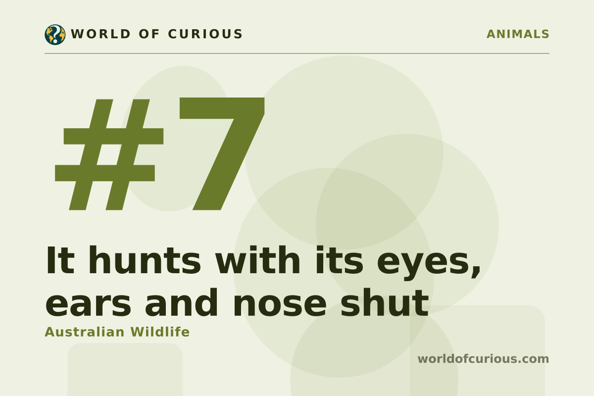 Card artwork for entry number 7: It hunts with its eyes, ears and nose shut.