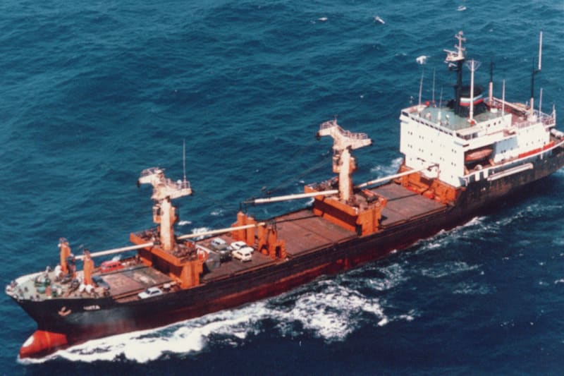 Container ship cargo port