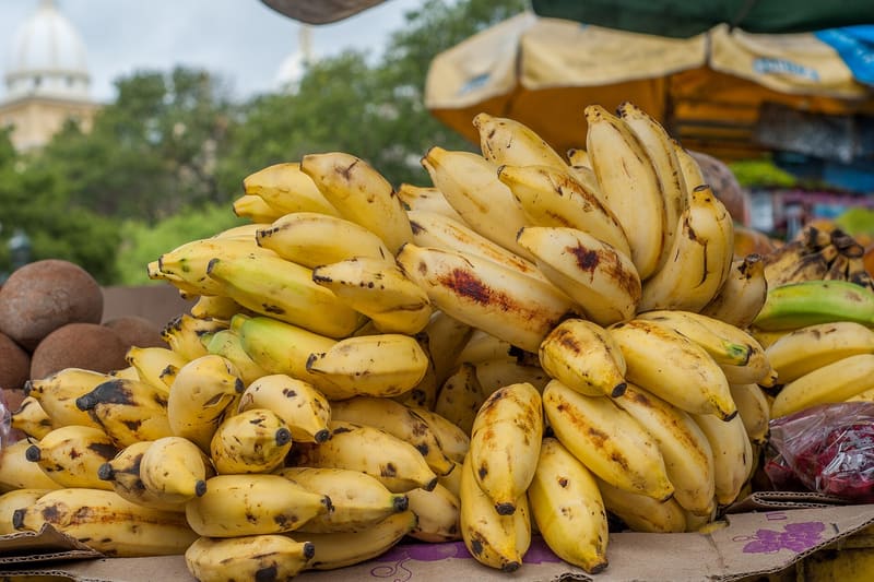 Banana fruit bunch