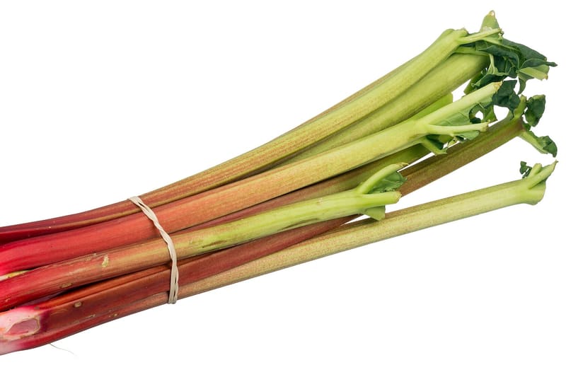 Rhubarb