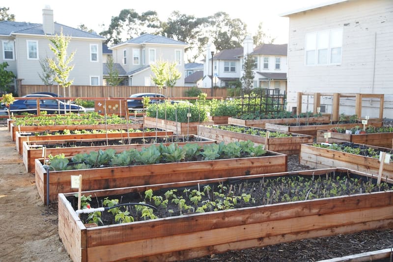 A branded card in fresh green introducing a list of ten gardening rules that are more flexible than usually claimed.