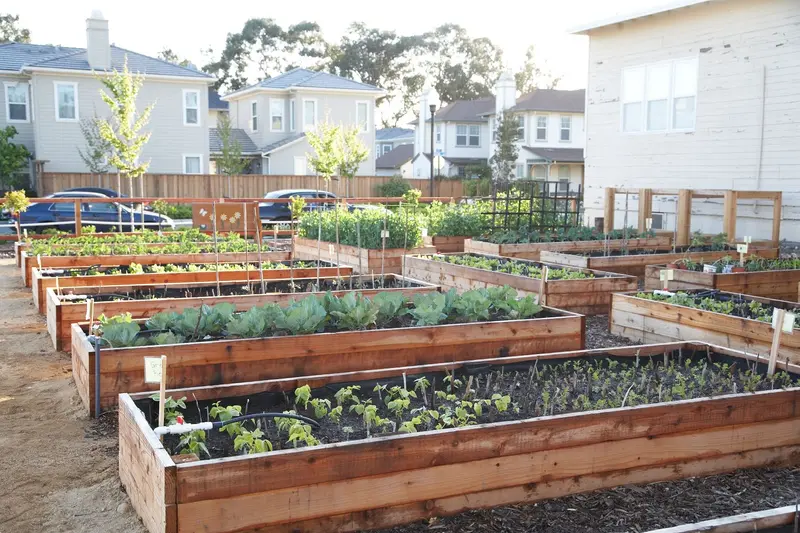 A branded card in fresh green introducing a list of ten gardening rules that are more flexible than usually claimed.