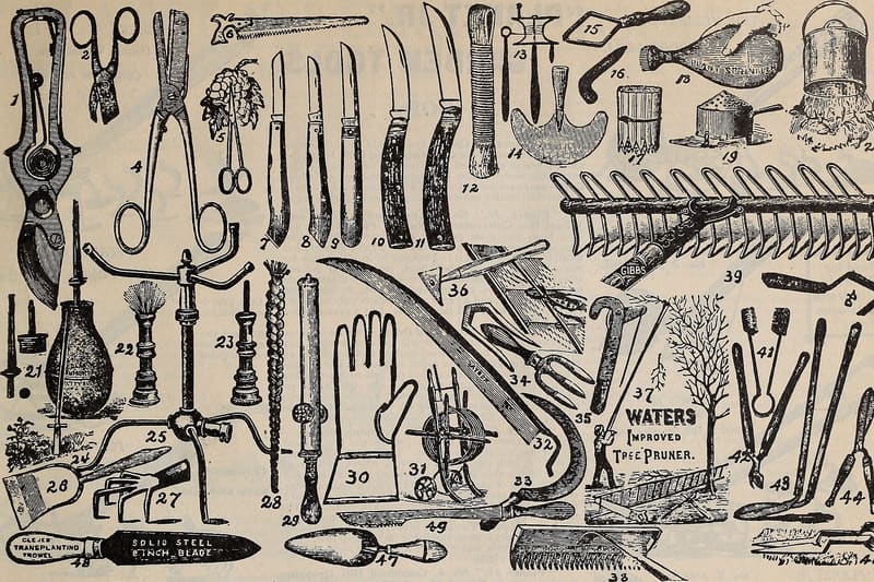 Pruning shears secateurs branch
