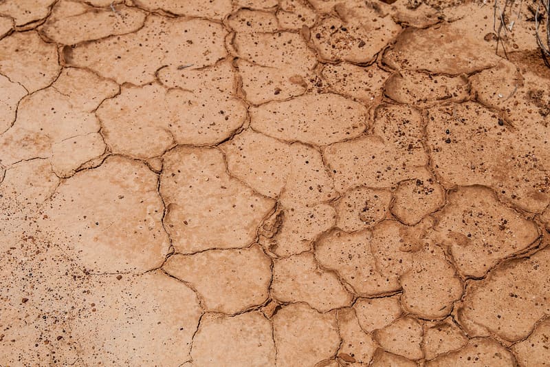 Clay soil cracked