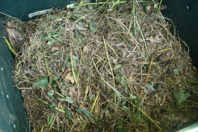 Compost bin