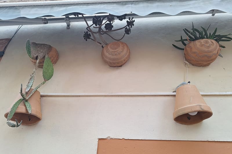 Terracotta flower pot