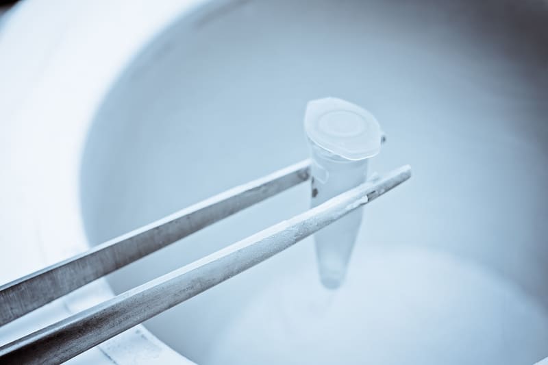 Cryopreservation liquid nitrogen storage