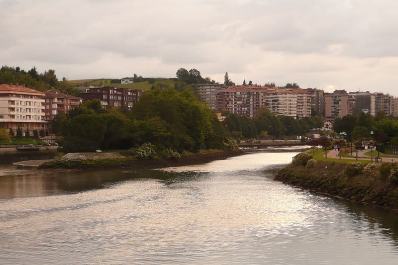 Bidasoa river Pheasant Island