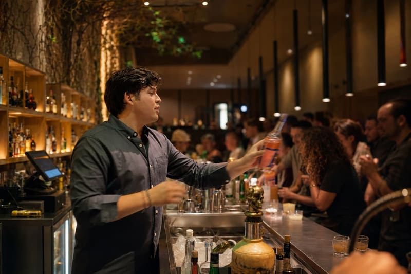 Bartender bar counter