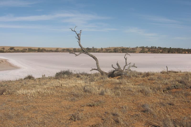 Pink salt lake Australia