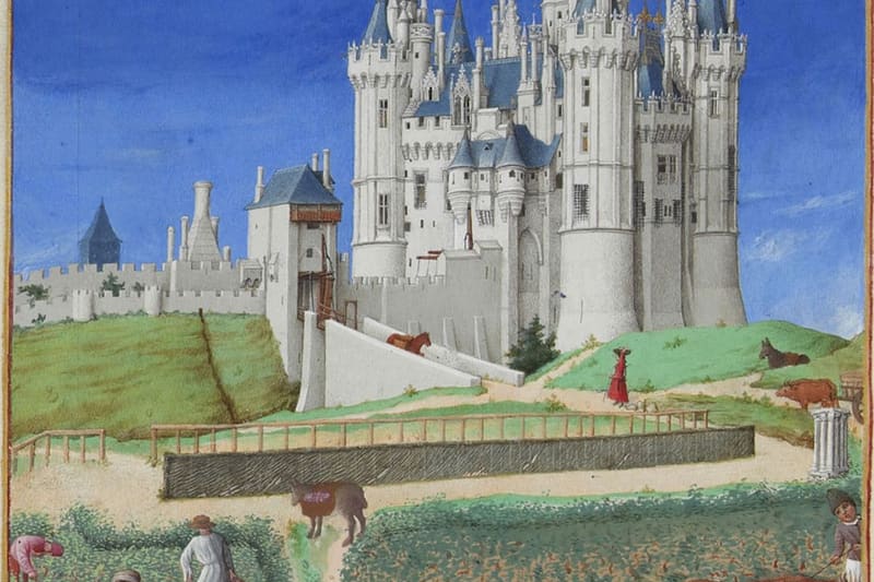 Medieval peasants harvest illumination