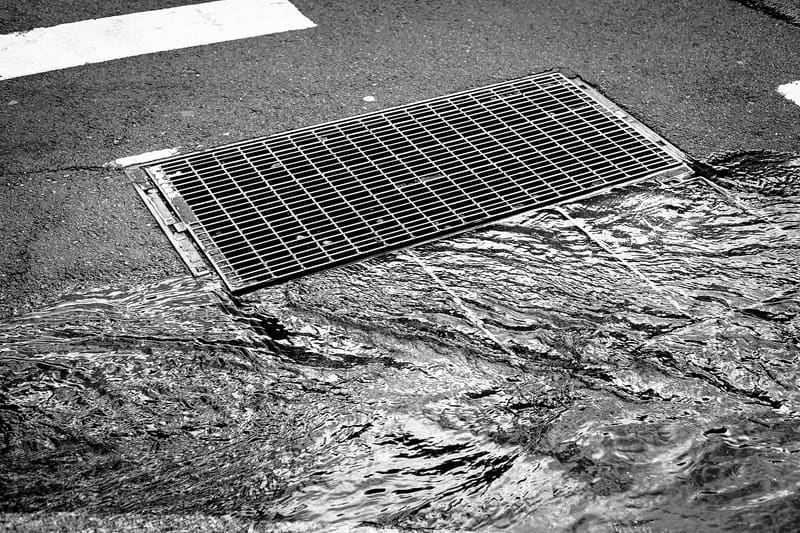 Pavement drain grate