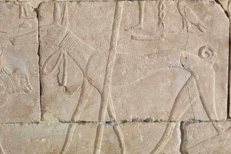 Egyptian hieroglyphs wall carving
