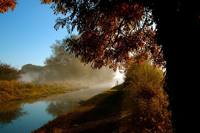 Daylighted river urban park