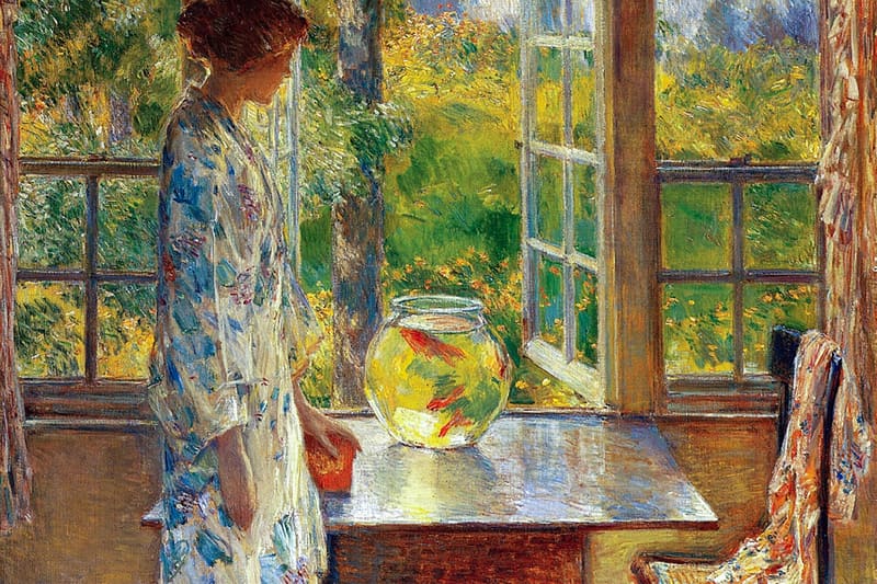 Goldfish in bowl