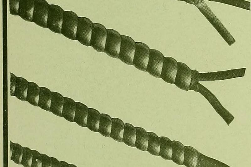 Old electrical wiring fabric