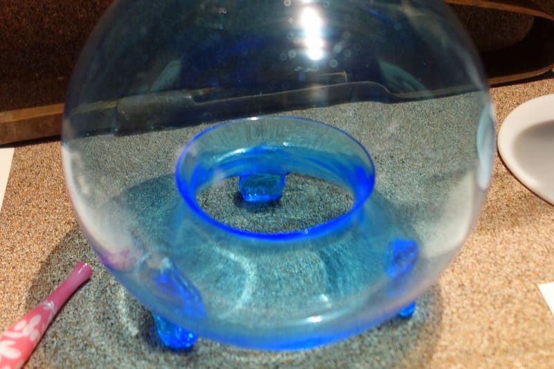 Glass flytrap