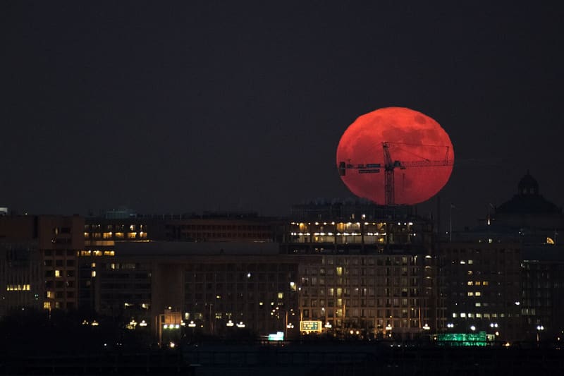 Moon illusion horizon